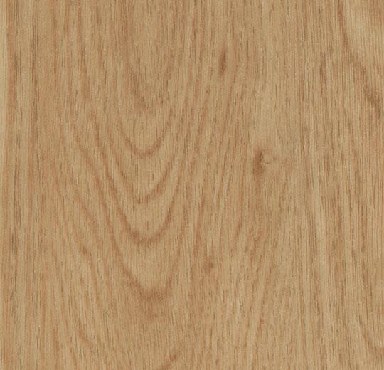 Forbo - Allura Dryback - Wood - 60065DR5