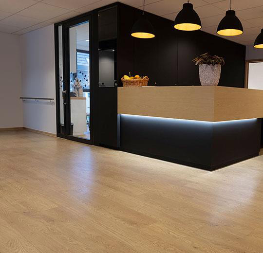 Forbo - Allura Dryback - Wood - 60065DR5